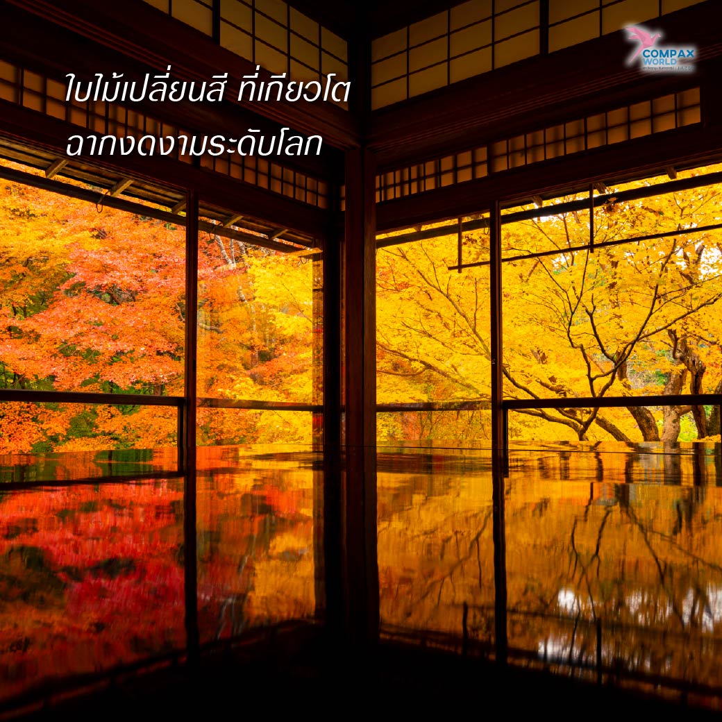 เที่ยวญี่ปุ่น ทัวร์ญี่ปุ่น ทัวร์ญี่ปุ่นพรีเมี่ยม โปรแกรมทัวร์ญี่ปุ่น